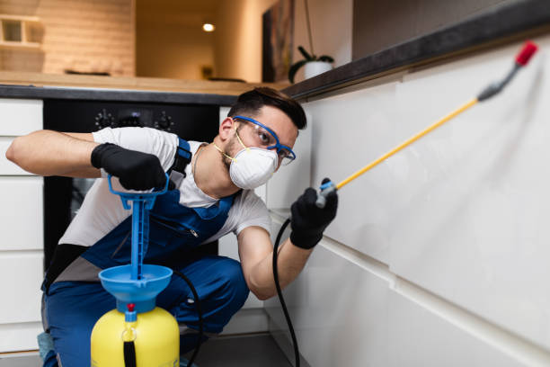 Best Bed Bug Extermination  in Ddanelle, AR