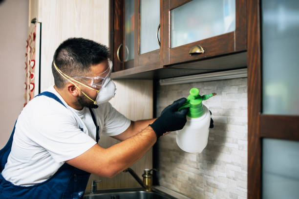 Best Exterminator Services  in Ddanelle, AR