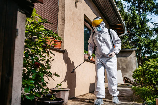Trusted Dardanelle, AR Pest Control Experts