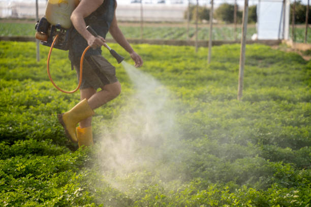 Best Pest Control Near Me  in Ddanelle, AR