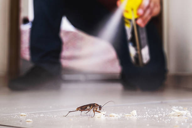 Best Cockroach Control Services  in Ddanelle, AR